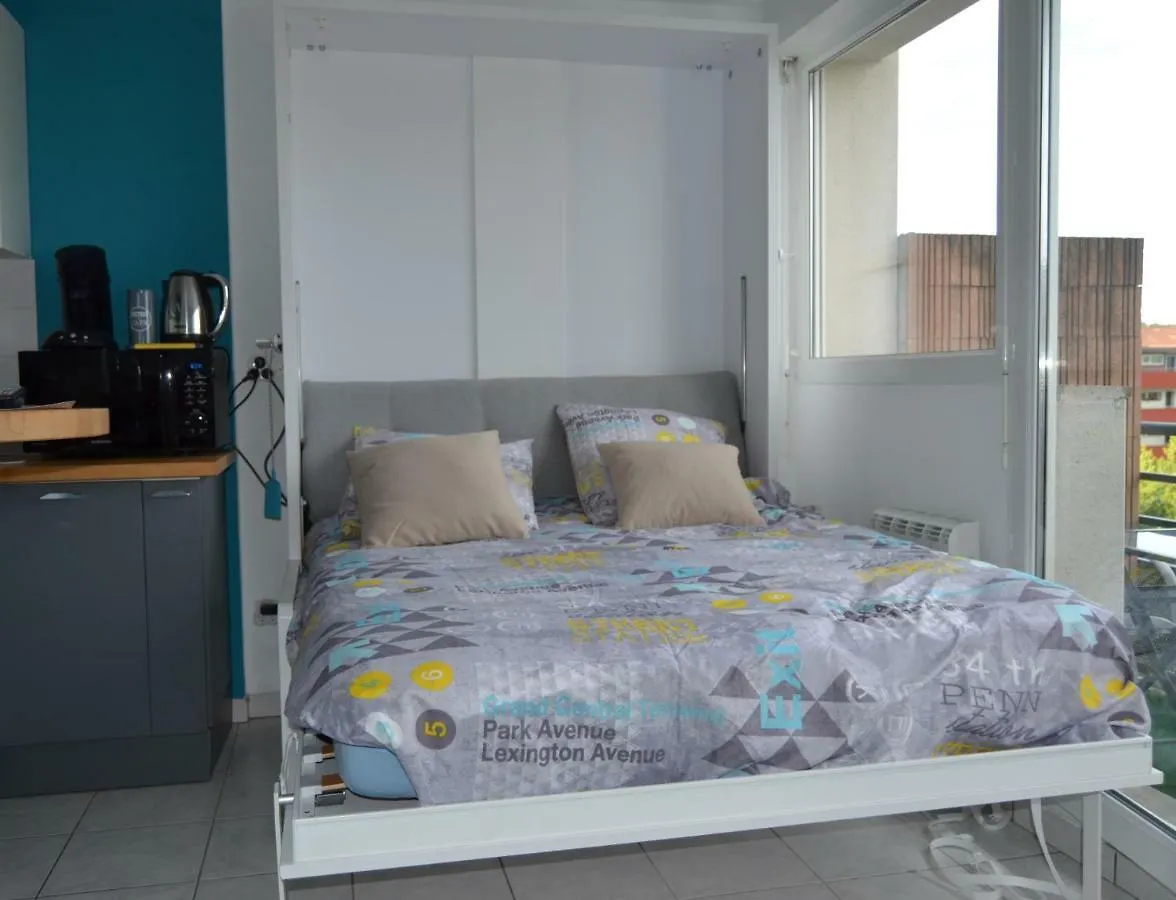 Le Petit Studieux - Parking - Animaux Acceptes - Centre Ville Accessible A Pied Albi