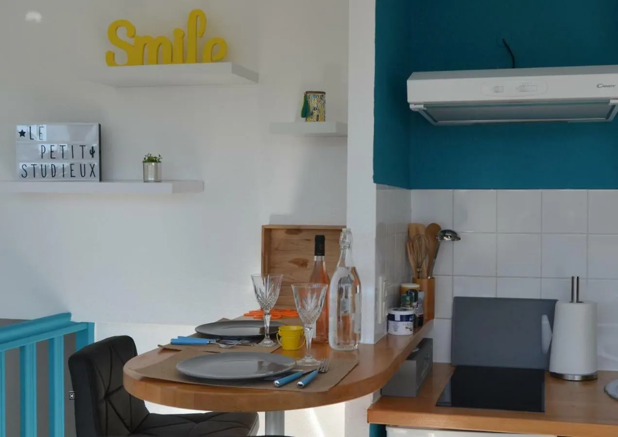 Le Petit Studieux - Parking - Animaux Acceptes - Centre Ville Accessible A Pied Albi Daire