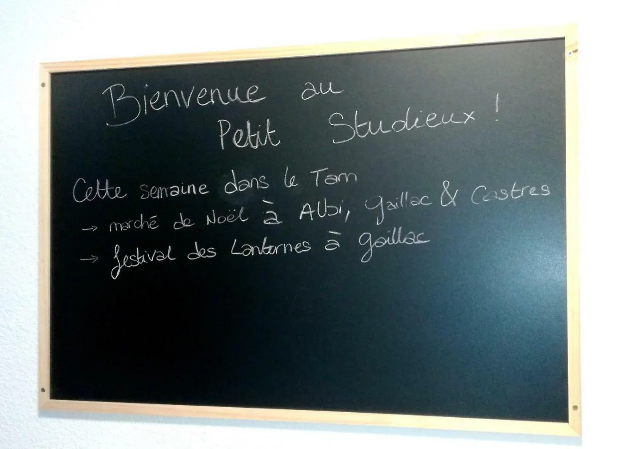 Le Petit Studieux - Parking - Animaux Acceptes - Centre Ville Accessible A Pied Albi